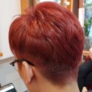 도트(Dot)헤어살롱