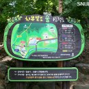 분당서울대학교병원(지석영의생명연구소)