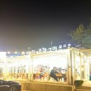 동막해수욕장 칼국수 먹으러 &lt;서해촌 활어회 조개구이&gt; 방문 후기