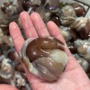 남해-200 이미지