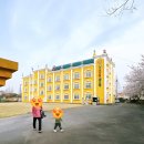 인스나인유치원 이미지