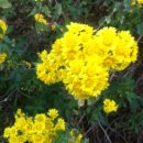 한빛농장 이미지