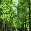 메타길5(어린이프로방스) 이미지