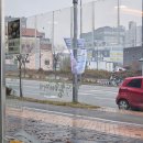 세종 밥집 / 강연우 동태찌개 / 지금 가기에 딱!
