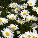 대덕전자(주) 이미지