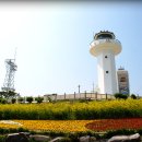 구서오토바이