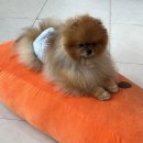 하이멍그라미 이미지