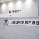 서울프로치과 네이버블로그