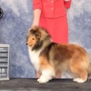 솔리뉴(Solynue) 이미지