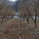 원재농장 이미지