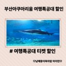 부산아이와 가볼만한곳 씨라이프 부산아쿠아리움 여행특공대 티켓 할인꿀팁