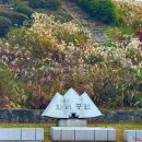 세븐일레븐 팔달화서점 | 경기도 수원 화서공원 가을 억새밭 명소 주차장 꿀팁