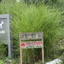 현촌초교 정문 앞 | 서울 근교 남양주 이색 데이트코스 비스타밸리🐴 (주차,말 먹이체험, 카페이용후기)