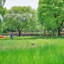 도봉-도봉-2133 이미지