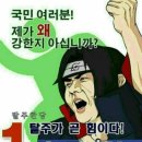 215헤어 이미지