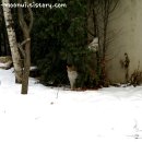 딩동댕동 이미지