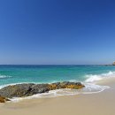 캘리포니아 이미지