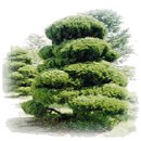 감천초등학교 이미지