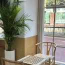 서울석촌초등학교 | 잠실 카페 디저트 밸런티 송파 본점 케이크맛집