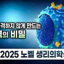 면역세포만 조절해도 이 병들이 낫는다고? 🧬 2025 노벨상! 면역 조절로 치료 가능한 병들 | 자가면역질환 | 지식채널e EBS 이미지