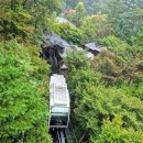 소망분재원