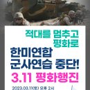 한미연합 군사연습 중단 - 3.11(토) 평화행진 이미지