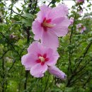 선유동1로 이미지