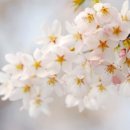 더 머물다 이미지