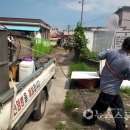 서천군보건소 이미지