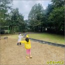 자연유아어린이집 이미지