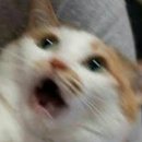 메디아이 이미지