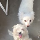 그루밍솔루션 구로점 이미지