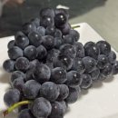 윤우포차 이미지