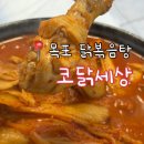 닭코 | 목포 현지인 맛집, 묵은지 맛이 다 했다 [코닭세상] 솔직후기