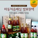 처음매실