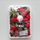 ㅅㅑㅍ비육일이(B-612) | 💌 Bussi 향수 &amp; 핸드크림 후기