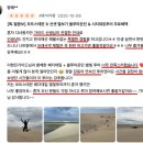 호주 시드니 1월 2월 여행 필수 코스 - 포트스테판 투어 / 돌핀 크루즈 / 와이너리