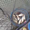 도곡낚시터 이미지