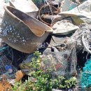 어구물양장 이미지