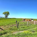 순례길 화장실(간이화장실) 이미지