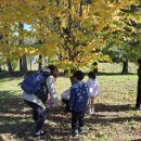 초록샘어린이집 이미지