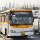 대우(아) 이미지