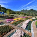 내미로리 이미지