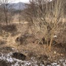 기안.당촌 이미지