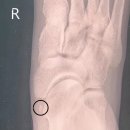 화이팅정형외과의원 이미지