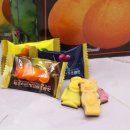 제주와서 이미지