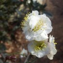 춘길농장 이미지