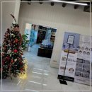 로얄펫 강아지분양 고양이분양 전주본점 이미지