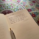 돌집여인숙 | 제주 3일차/ 카페 시적인순간, 선녀탕, 사계해변, 카페 인스밀