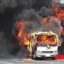 [속보 ] 제주 연동서 25인승버스 화재 이미지
